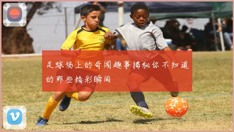足球场上的奇闻趣事揭秘你不知道的那些精彩瞬间