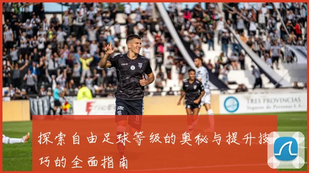 探索自由足球等级的奥秘与提升技巧的全面指南