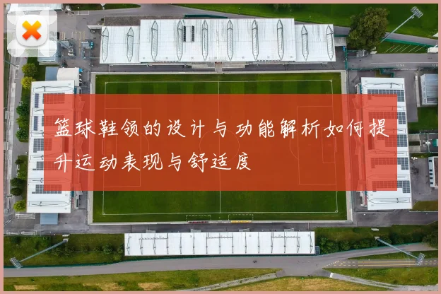 篮球鞋领的设计与功能解析如何提升运动表现与舒适度