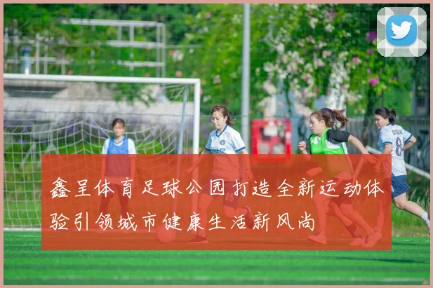 鑫呈体育足球公园打造全新运动体验引领城市健康生活新风尚